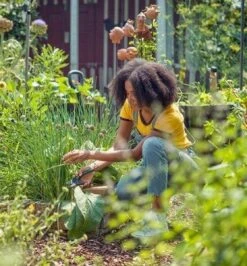 GARDENA - ExpertCut - Snoeischaar - 22 Diameter Tak -Tuinartikelen Winkel 1116x1200