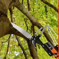 Gardebruk Takkenzaag Telescopisch - 2in1 Zaag & Snoeischaar - Oranje -Tuinartikelen Winkel 1189x1200 1