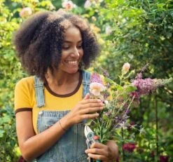 GARDENA - ExpertCut - Snoeischaar - 22 Diameter Tak -Tuinartikelen Winkel 1200x1122