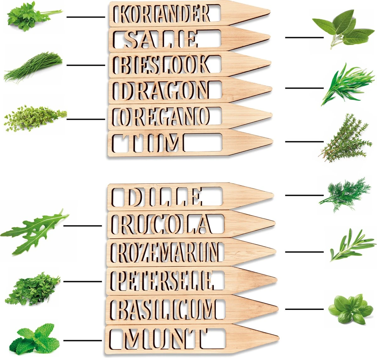 Djambo Tuingereedschap Set 8-delig Tuinsetje Met 15 Unieke Bamboe Plantetiketten In 1 Draagtas - Compleet Tuingereedschap Voor De Tuinliefhebbers 6 Djambo Tuingereedschap Set 8-delig Tuinsetje Met 15 Unieke Bamboe Plantetiketten In 1 Draagtas - Compleet Tuingereedschap Voor De Tuinliefhebbers - Afbeelding 6
