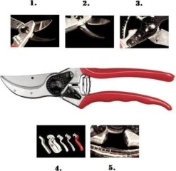 Felco 2 Snoeischaar - Rechtshandig - Max. Knipdiameter 25 Mm - Lengte 215 Mm 18 Felco 2 Snoeischaar - Rechtshandig - Max. Knipdiameter 25 Mm - Lengte 215 Mm -Tuinartikelen Winkel 1200x1168 1
