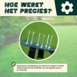 Merkloos Gazonbeluchtingssandalen Premium - Gazonbeluchter - Beluchter - Gazonverluchter - Gazonpriksandalen - Verticuteerroller - Graszaad - Gazonmest - Kerstcadeau - Voor Mannen - Voor Vrouwen - Cadeautjes- Vaderdag Cadeau- Geschenk- Cadeautjes -Tuinartikelen Winkel 1200x1197 4