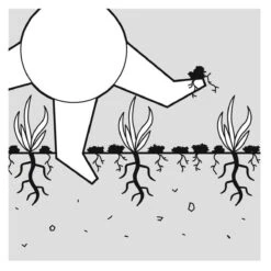 GARDENA EVC 1000 Verticuteermachine - Werkbreedte 30 Cm - Werkgebied 600m2 -Tuinartikelen Winkel 1200x1200 158
