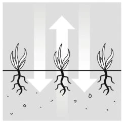 GARDENA EVC 1000 Verticuteermachine - Werkbreedte 30 Cm - Werkgebied 600m2 -Tuinartikelen Winkel 1200x1200 160