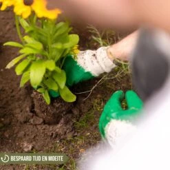 Merkloos Grondboor Voor Planten - 25 CM - Palenboor - Moestuin - Bollenplanter - Zwart 11 Merkloos Grondboor Voor Planten - 25 CM - Palenboor - Moestuin - Bollenplanter - Zwart -Tuinartikelen Winkel 1200x1200 298