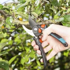 GARDENA - Comfort B/S-XL Bypass - Snoeischaar - Ø 24 Mm - 25 Jaar Garantie -Tuinartikelen Winkel 1200x1200 57