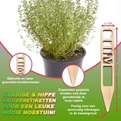 Djambo Tuingereedschap Set 8-delig Tuinsetje Met 15 Unieke Bamboe Plantetiketten In 1 Draagtas - Compleet Tuingereedschap Voor De Tuinliefhebbers 27 Djambo Tuingereedschap Set 8-delig Tuinsetje Met 15 Unieke Bamboe Plantetiketten In 1 Draagtas - Compleet Tuingereedschap Voor De Tuinliefhebbers -Tuinartikelen Winkel 1200x1200 895