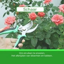 Djambo Tuingereedschap Set 8-delig Tuinsetje Met 15 Unieke Bamboe Plantetiketten In 1 Draagtas - Compleet Tuingereedschap Voor De Tuinliefhebbers 28 Djambo Tuingereedschap Set 8-delig Tuinsetje Met 15 Unieke Bamboe Plantetiketten In 1 Draagtas - Compleet Tuingereedschap Voor De Tuinliefhebbers -Tuinartikelen Winkel 1200x1200 896