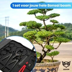 Good2know Bonsai Gereedschap Set – 16 Delig – Bonsai Starters Kit – Bonsai Boompje Verzorgingskit - Tuingereedschap -Tuinartikelen Winkel 1200x1200 900