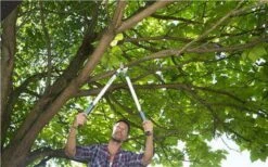 Gardena EasyCut Takkenschaar 68B + Classic Snoeischaar 8754 Display 1stuk 12003-30 -Tuinartikelen Winkel 1200x749 2