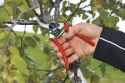 Felco 2 Snoeischaar - Rechtshandig - Max. Knipdiameter 25 Mm - Lengte 215 Mm 20 Felco 2 Snoeischaar - Rechtshandig - Max. Knipdiameter 25 Mm - Lengte 215 Mm -Tuinartikelen Winkel 1200x796 1