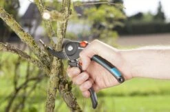 GARDENA - Comfort A/M Aambeeld - Snoeischaar - Ø 23mm 10 GARDENA - Comfort A/M Aambeeld - Snoeischaar - Ø 23mm -Tuinartikelen Winkel 1200x799 2