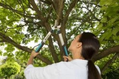 Tuinartikelen Winkel -Tuinartikelen Winkel 1200x799 21