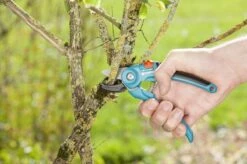 GARDENA Classic Aambeeld Snoeischaar - Ø 18 Mm -Tuinartikelen Winkel 1200x799 25