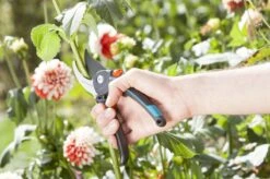 GARDENA Comfort B/M Bypass Snoeischaar - Ø 24mm - Met Sapgeul -Tuinartikelen Winkel 1200x799 31