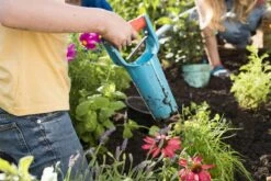 GARDENA Bollenplanter - Diepteaanduiding - Automatische Aardeloslating -Tuinartikelen Winkel 1200x800 171