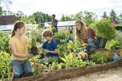 GARDENA Combisystem Bladharkje - Werkbreedte 12 Cm - 25 Jaar Garantie -Tuinartikelen Winkel 1200x800 184