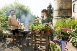 GARDENA - Terras Spiraalslang - 7.5 M Tuinslang - 9mm -Tuinartikelen Winkel 1200x800 217