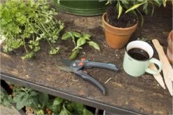 GARDENA - Comfort B/S-XL Bypass - Snoeischaar - Ø 24 Mm - 25 Jaar Garantie -Tuinartikelen Winkel 1200x800 24