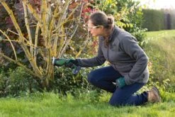 Bosch KEO 18 Accu Tuinzaagmachine - Snijdiameter Van 80 Mm - Met 18 V Accu En Lader -Tuinartikelen Winkel 1200x800 38