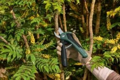 Bosch EasyPrune Accu Snoeischaar - 3.6 V Accu - USB -Tuinartikelen Winkel 1200x800 44