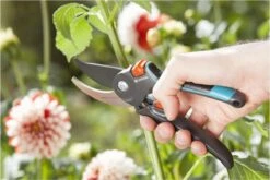 GARDENA Comfort B/M Bypass Snoeischaar - Ø 24mm - Met Sapgeul -Tuinartikelen Winkel 1200x800 47