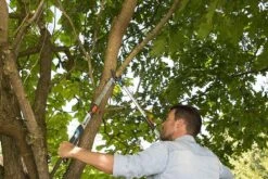 Gardena TeleCut Takkenschaar 650-900 B - Uitschuifbare Armen - Tot Max 90 Cm -Tuinartikelen Winkel 1200x800 51