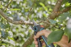 GARDENA AssistCut Snoeischaar- Ø 25mm -Tuinartikelen Winkel 1200x800 6