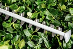 Bosch UniversalHedgeCut 60 Heggenschaar - Op Snoer - Lengte 60 Cm 12 Bosch UniversalHedgeCut 60 Heggenschaar - Op Snoer - Lengte 60 Cm -Tuinartikelen Winkel 1200x800 67