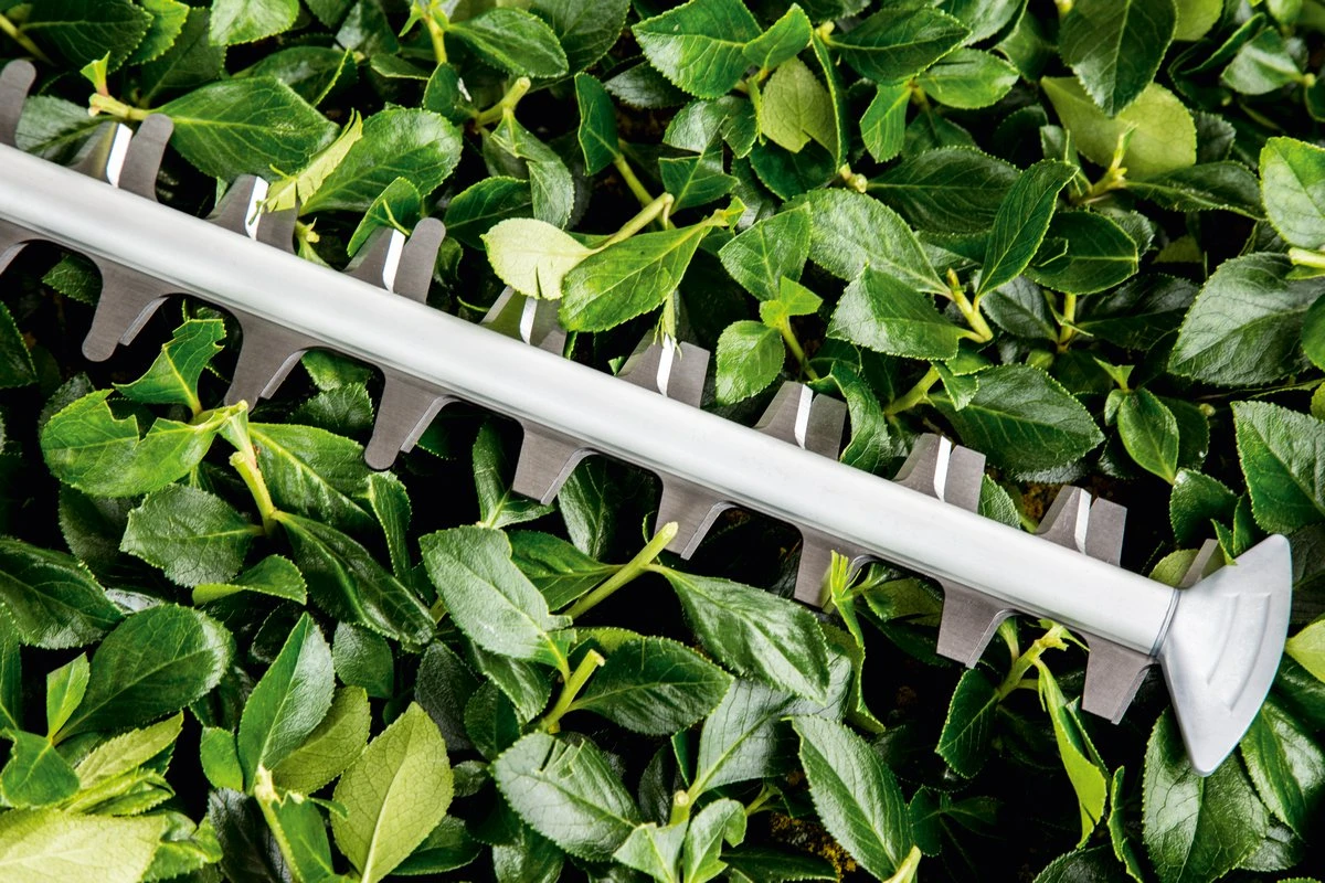 Bosch UniversalHedgeCut 60 Heggenschaar - Op Snoer - Lengte 60 Cm 4 Bosch UniversalHedgeCut 60 Heggenschaar - Op Snoer - Lengte 60 Cm - Afbeelding 4