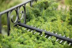 Bosch UniversalHedgeCut 18-55 Heggenschaar - Zonder 18V Accu En Oplader -Tuinartikelen Winkel 1200x800 83