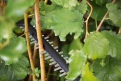 Bosch UniversalHedgeCut 18-55 Heggenschaar - Zonder 18V Accu En Oplader -Tuinartikelen Winkel 1200x800 86