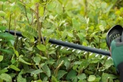 Bosch UniversalHedgeCut 18-50 Heggenschaar - Met 18 V Accu En Lader -Tuinartikelen Winkel 1200x800 92