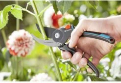 GARDENA Comfort B/M Bypass Snoeischaar - Ø 24mm - Met Sapgeul -Tuinartikelen Winkel 1200x822