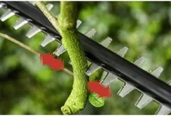 Bosch UniversalHedgePole 18 Heggenschaar Op Steel - Met 18 V Accu En Lader -Tuinartikelen Winkel 1200x823 1