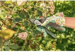 Bosch EasyPrune Accu Snoeischaar - 3.6 V Accu - USB -Tuinartikelen Winkel 1200x825 13