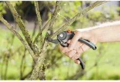 GARDENA - Comfort A/M Aambeeld - Snoeischaar - Ø 23mm 11 GARDENA - Comfort A/M Aambeeld - Snoeischaar - Ø 23mm -Tuinartikelen Winkel 1200x825