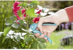 GARDENA 08853-20 Gardena Tuinschaar -Tuinartikelen Winkel 1200x825 5