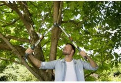 Gardena TeleCut Takkenschaar 650-900 B - Uitschuifbare Armen - Tot Max 90 Cm -Tuinartikelen Winkel 1200x826