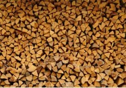 Steko Houtsplijter Voor Grote Blokken - Voor Aanmaakhout & Brandhout - Houtklover - Houtkliever - Splijtwig - Handmatig - Overal Te Gebruiken 1605 Gram - Metaal - Kloofwig - HOGE VOLUMEKORTING -Tuinartikelen Winkel 1200x837 2