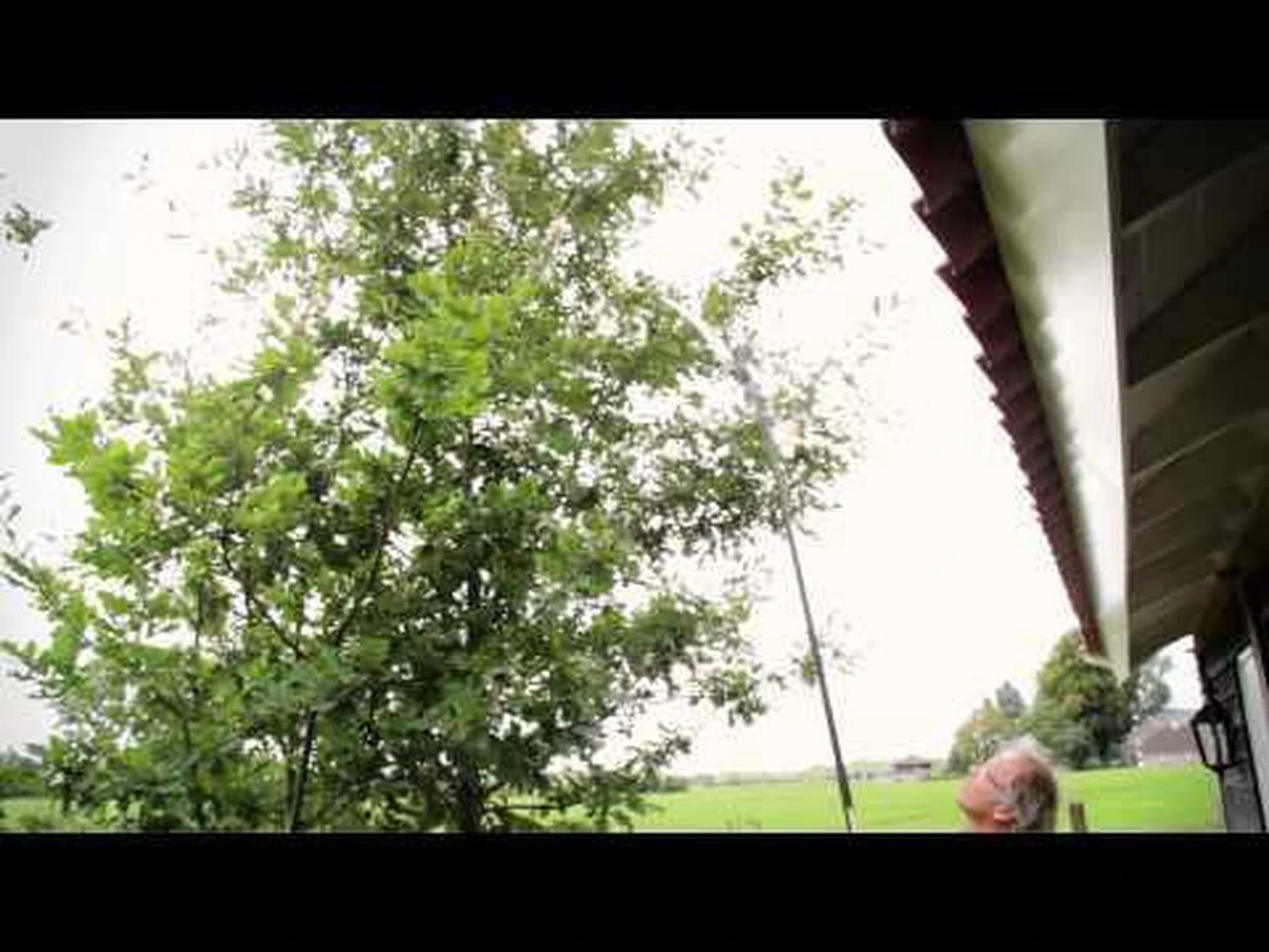 Hendrik Jan - Snoeizaag - Pistoolgreep - Gebogen - 30 Cm 3 Hendrik Jan - Snoeizaag - Pistoolgreep - Gebogen - 30 Cm - Afbeelding 3