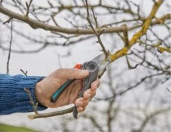 GARDENA - ExpertCut - Snoeischaar - 22 Diameter Tak -Tuinartikelen Winkel 1200x929