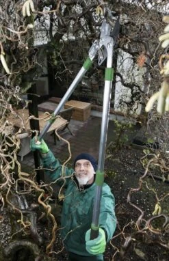 Telescopische Takkenschaar, 6-voudig -Tuinartikelen Winkel 775x1200