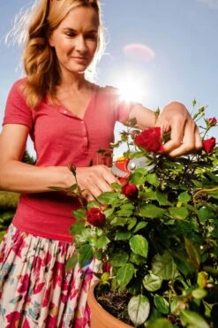 WOLF-Garten Snoeischaar "Premium Plus" RR 4000 - Max. Knipdiameter 22 Mm - Links- En Rechtshandige - Softinleg Handgreep - Snijhoek 30° - Voor Grote Handen - Vervangbare Messen -Tuinartikelen Winkel 799x1200 14