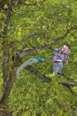 GARDENA Combisysteem Snoeizaag 300PP Curved Takkenzaag - Meslengte 315 Mm - Exclusief Verlengstok 13 GARDENA Combisysteem Snoeizaag 300PP Curved Takkenzaag - Meslengte 315 Mm - Exclusief Verlengstok -Tuinartikelen Winkel 799x1200 49