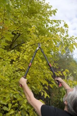 Kreator KRTGR4003 Telescopische Takkenschaar – Jong Hout - Knipdiameter: Ø34 Mm -Tuinartikelen Winkel 800x1200 10