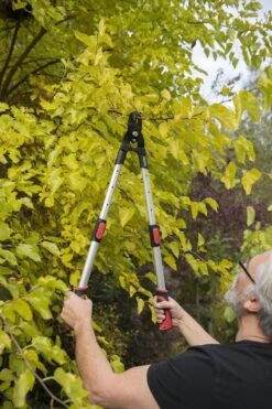 Kreator KRTGR4013 Telescopische Takkenschaar - 63-89 Cm Totale Lengte - . Ø39 Mm Knipdiameter -Tuinartikelen Winkel 800x1200 2