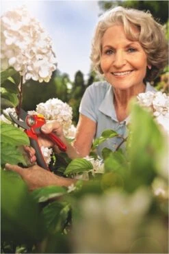 WOLF-Garten Snoeischaar "Premium Plus" RR 4000 - Max. Knipdiameter 22 Mm - Links- En Rechtshandige - Softinleg Handgreep - Snijhoek 30° - Voor Grote Handen - Vervangbare Messen -Tuinartikelen Winkel 800x1200 3