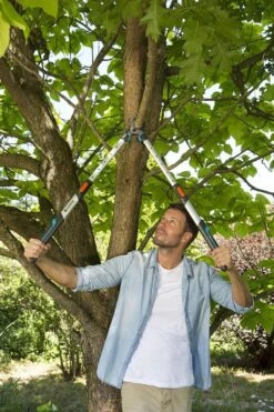 Gardena TeleCut Takkenschaar 650-900 B - Uitschuifbare Armen - Tot Max 90 Cm -Tuinartikelen Winkel 800x1200 7