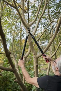 Kreator KRTGR4001 Takkenschaar - 650mm -Tuinartikelen Winkel 800x1200 9